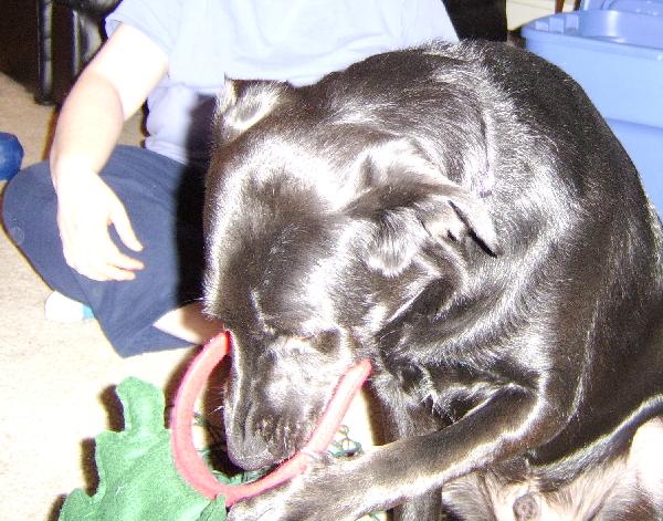 xmas05.jpg