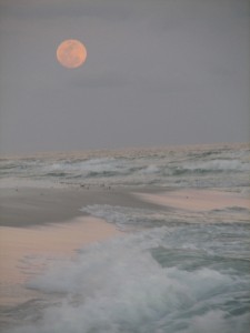 fullmoon1 fullmoon1